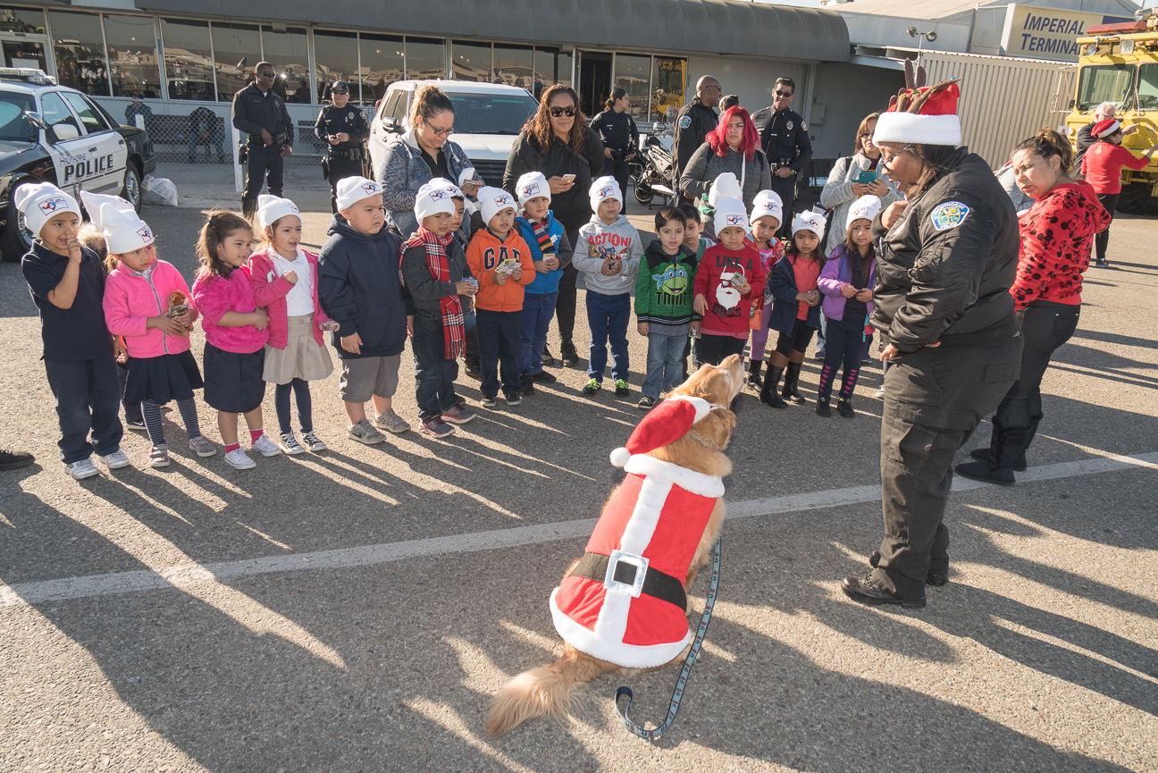 Santa Fly In