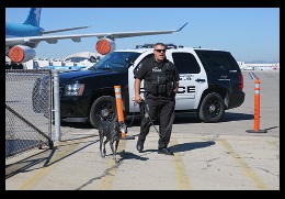 Picture of K-9 and officer walking away from police vehicle.