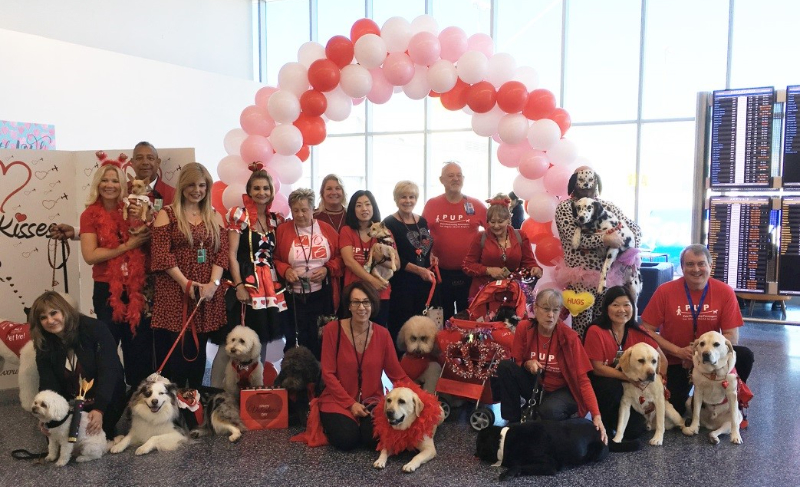 Volunteers of the LAX PUPs program (inclusing the pups) pose together to take cheerful photo.