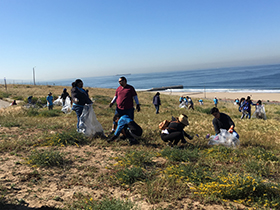 Volunteers cleaning up trash on the LAX dunes.